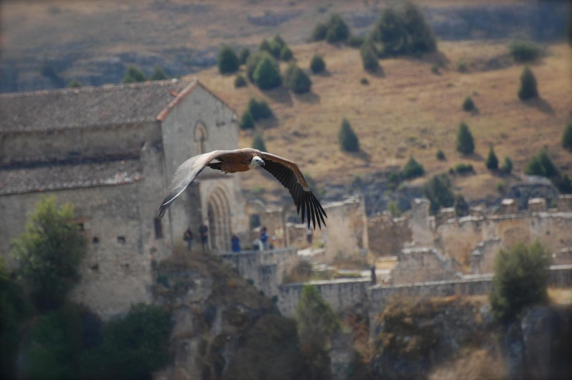 El Rincon De Las Hoces Del Duraton Burgomillodo Exterior foto